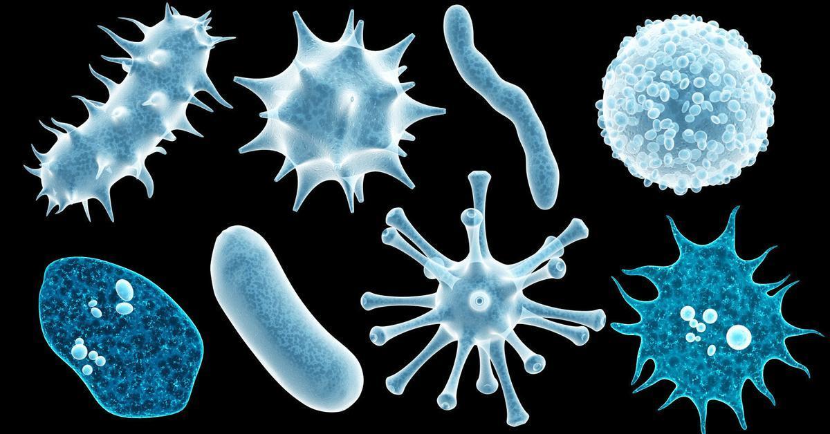 Viruses and Bacteria in Catalonia: What do we get the most?
