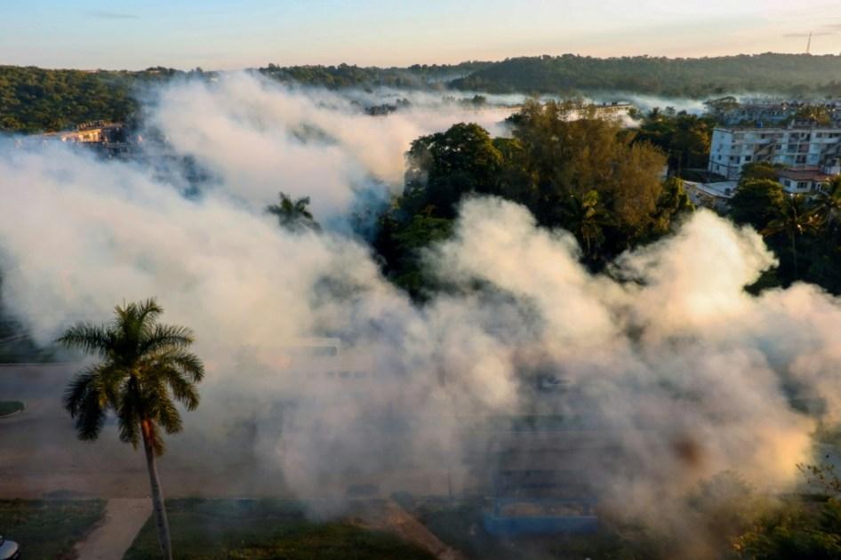 Más de 20 niños y adolescentes han muerto en Cuba por dengue y chikungunya