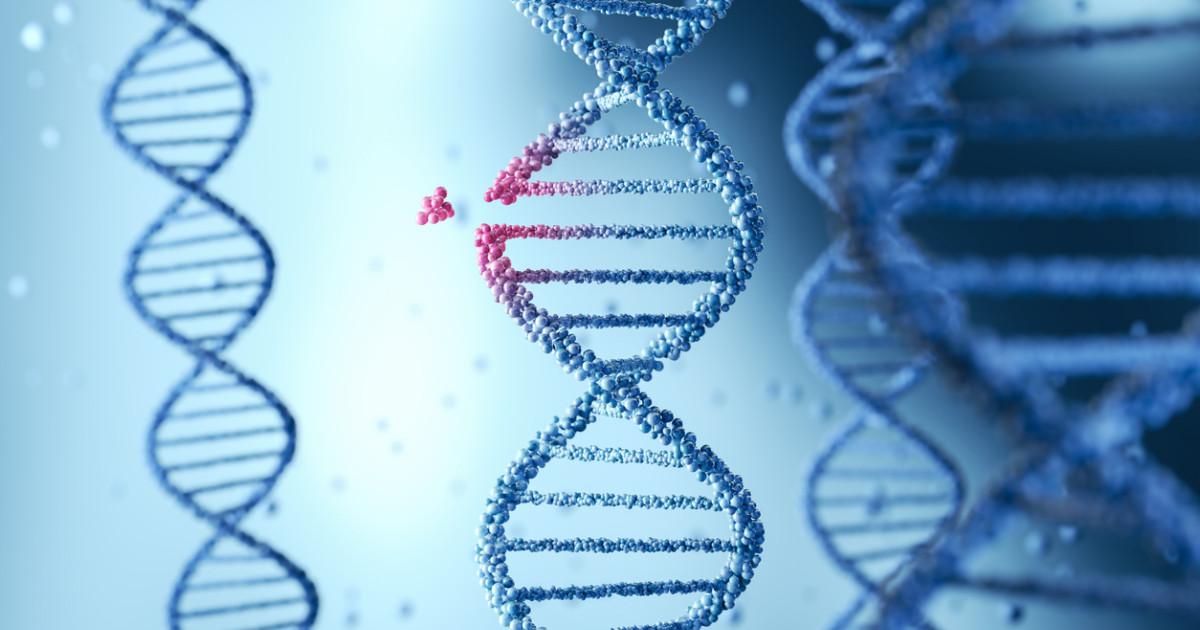 El software español que nos permite identificar las redes genéticas ocultas del cáncer